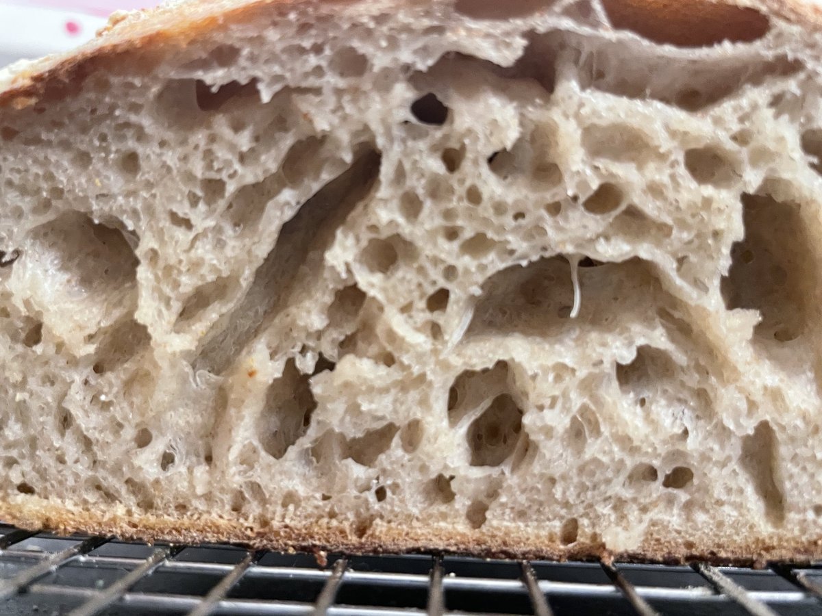 Crumb shot of a sourdough loaf